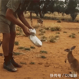 t01ade1c130d8fb7c77.gif
